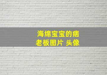 海绵宝宝的痞老板图片 头像